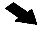 Undisplayed Graphic