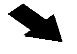 Undisplayed Graphic